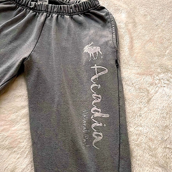 RAG WEAR 🌲 ACADIA PARK MAINE GRAY COTTON RAGLAN JOGGERS SWEATPANTS Men’s XL - Picture 2 of 8